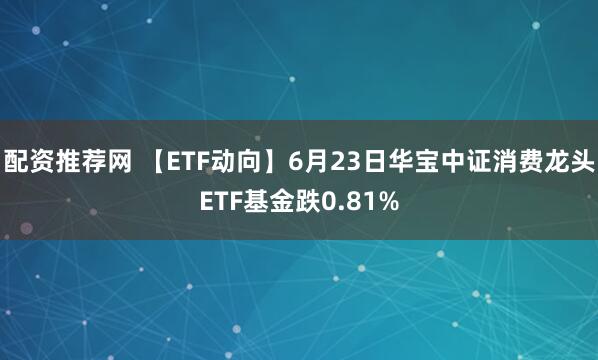 配资推荐网 【ETF动向】6月23日华宝中证消费龙头ETF基金跌0.81%