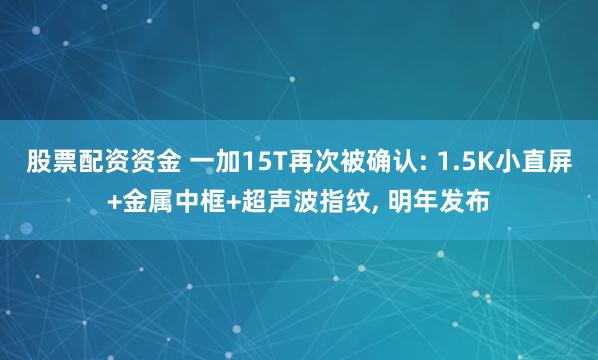股票配资资金 一加15T再次被确认: 1.5K小直屏+金属中框+超声波指纹, 明年发布