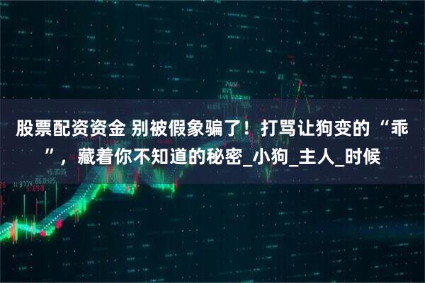 股票配资资金 别被假象骗了！打骂让狗变的 “乖”，藏着你不知道的秘密_小狗_主人_时候